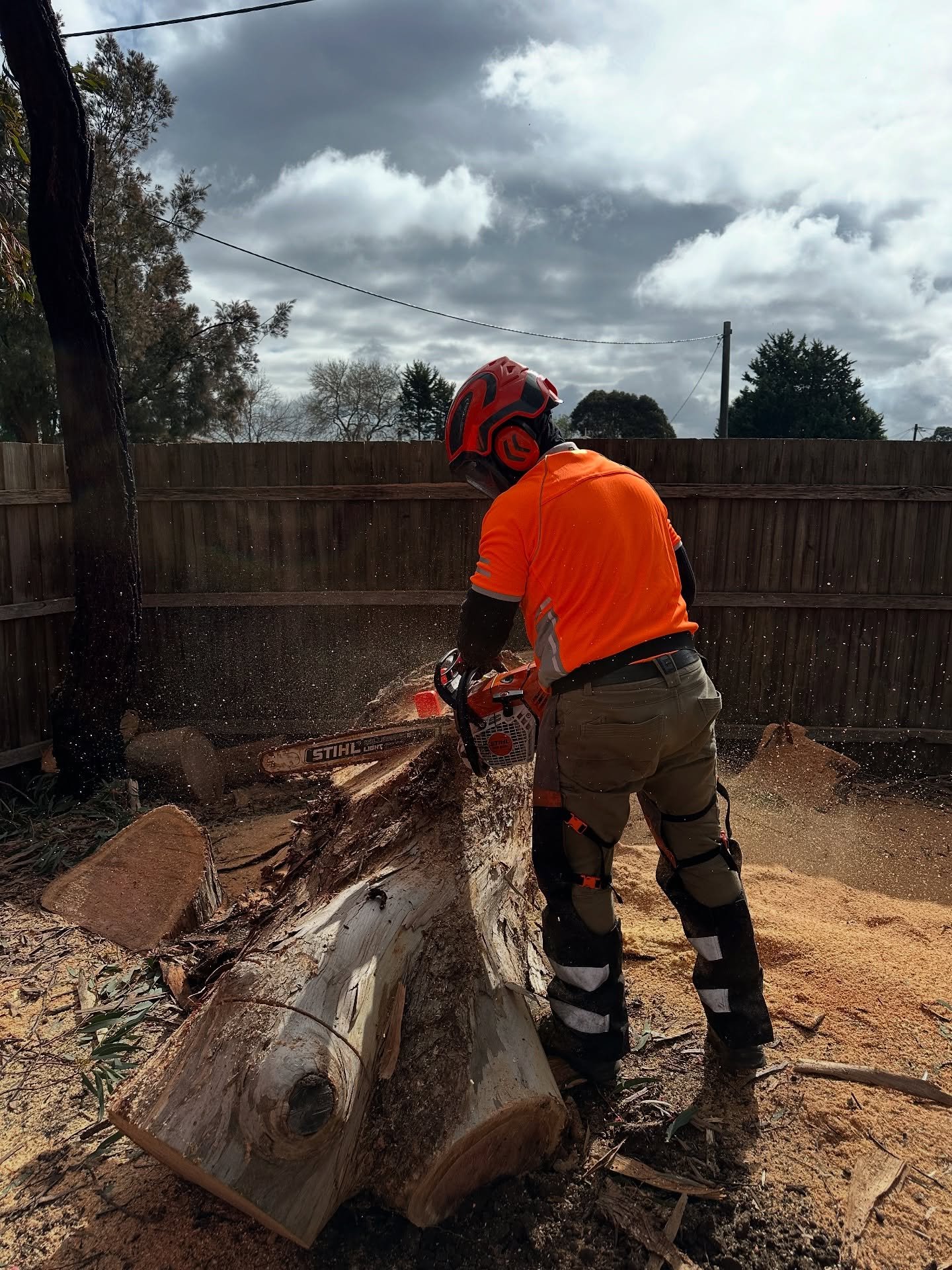 RedGum-tree-service (9)
