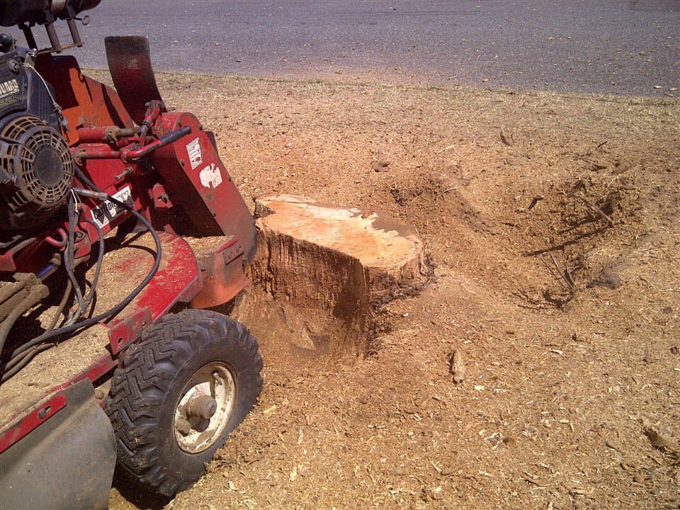 stump-grinding1