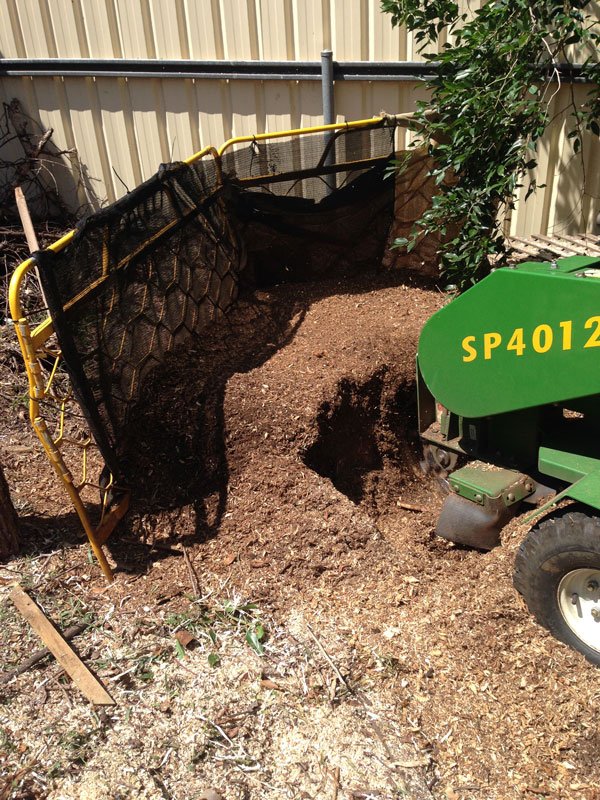 stump-grinding10